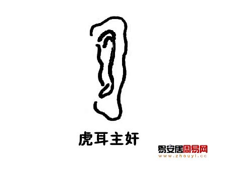 虎耳面相|解析面相中的虎耳